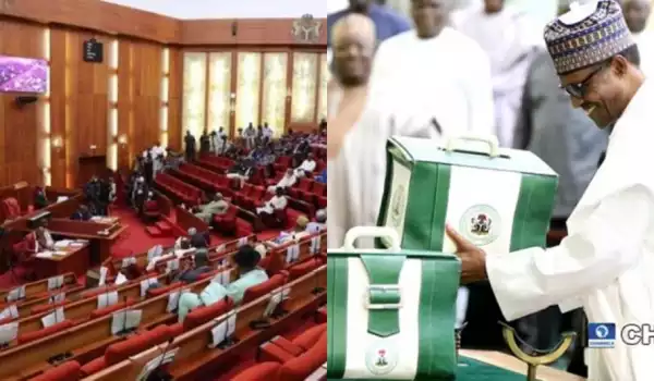 Senate passes record 10.59 trillion-naira budget for 2020